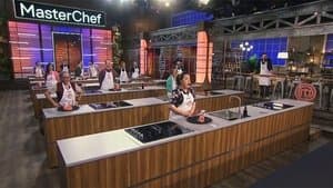 Episodio 14