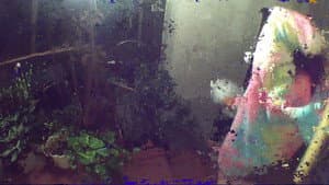 Content — foto 3