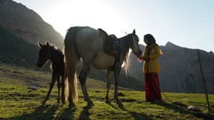 The Dream of a Horse — foto 2