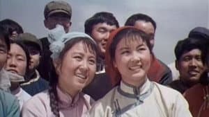 战地黄花 — foto 1