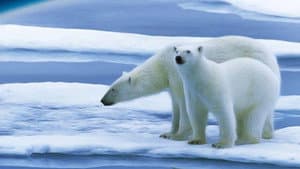 Planet Earth: The Future — foto 1
