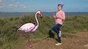Episodio 6