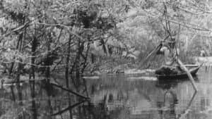Canción al viejo fisga que acecha en los lagos amazónicos — foto 1