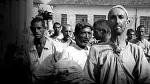 Holocausto Brasileiro — foto 3