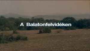Episodio 12