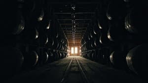 Chasing Whiskey — foto 1