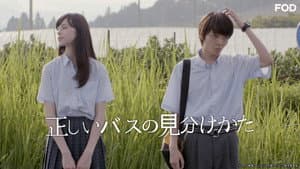 正しいバスの見分けかた — foto 3