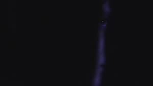 Témele a la Oscuridad: Luz — foto 1