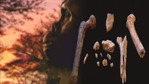 Episodio 1