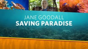 Jane Goodall: Saving Paradise — foto 3