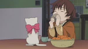 Episodio 11