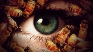 Candyman 3: El día de los muertos — foto 3