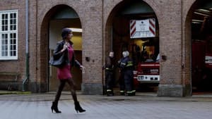 The Danish Boys — foto 5