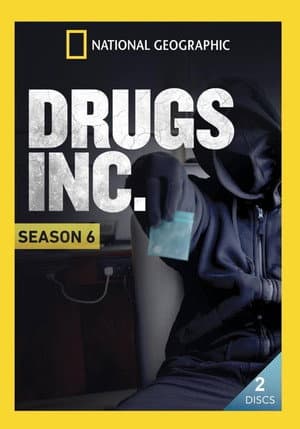 Temporada 6