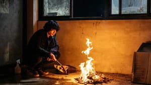 動物感傷の清晨 — foto 12