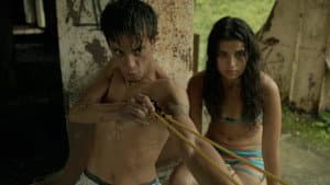 Tigre — foto 1