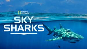 Sky Sharks — foto 8