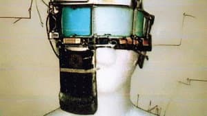 Data Flesh — foto 1