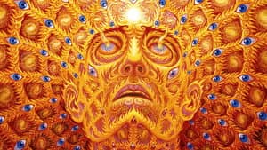 CoSM - The Movie: Alex Grey & the Chapel of Sacred Mirrors — foto 1