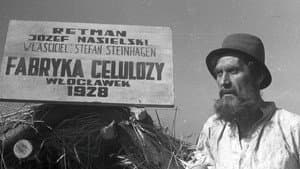 Celuloza — foto 1