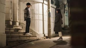 반의 반 — foto 8