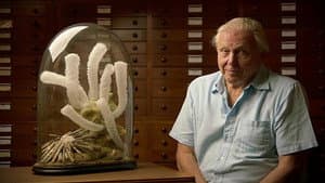 Attenborough's Ark — foto 3