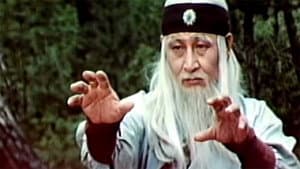 達摩神功 — foto 1