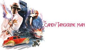 The Candy Tangerine Man — foto 6