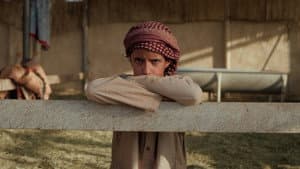 هجّان — foto 12