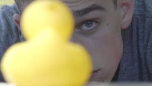 Birdwatching — foto 2