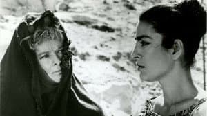 The Trojan Women — foto 2