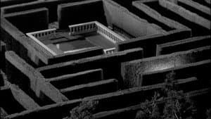 The Maze — foto 11