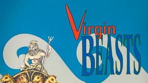 Virgin Beasts — foto 4