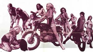 The Mini-Skirt Mob — foto 2