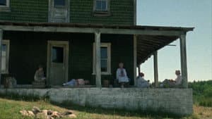 The Company of Strangers — foto 10