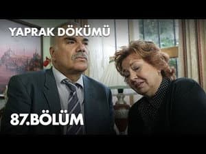 Episodio 87