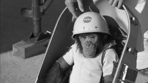 One Small Step: The Story of the Space Chimps — foto 1