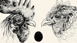 De Gallo Qui Ovavit — foto 1