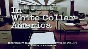 In White-Collar America — foto 1