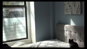 Rectangle — foto 2