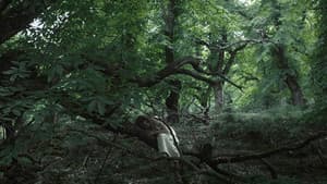 Άλυτη — foto 1