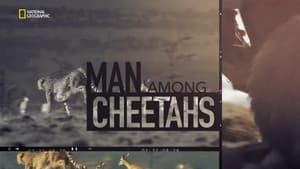 Man Among Cheetahs — foto 2
