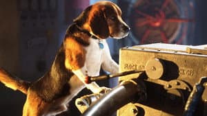 Como Perros y Gatos — foto 5