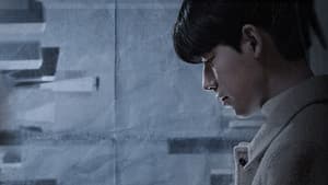 기적의 형제 — foto 5