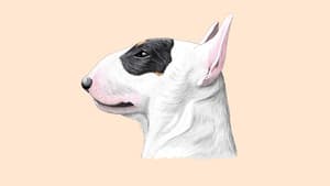 We Don't Deserve Dogs — foto 2