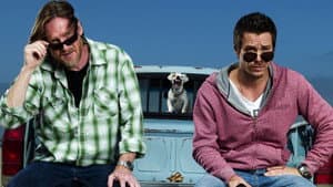 Terriers — foto 4