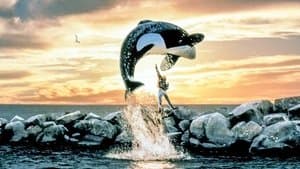 Liberen A Willy — foto 2