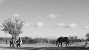 La calma — foto 2