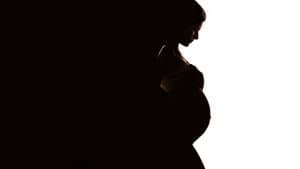 Secret Life of a Celebrity Surrogate — foto 3
