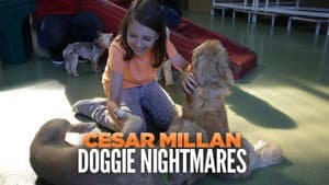 Cesar Millan: Doggie Nightmares — foto 2